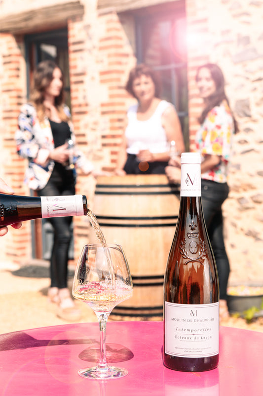 Service d’un vin blanc moelleux Intemporelles Coteaux du Layon du Moulin de Chauvigné lors d’une dégustation au domaine, avec vigneronnes et barrique en arrière-plan, Vallée de la Loire