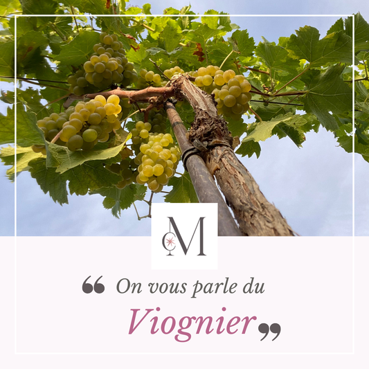 On vous parle du Viognier