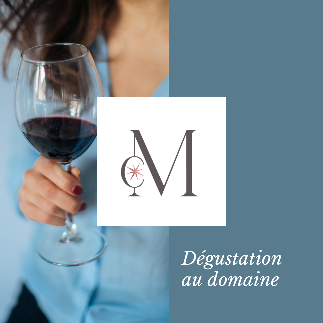 Une personne tenant un verre de vin rouge, avec le logo du Moulin de Chauvigné au centre. Visuel promotionnel accompagné du texte “Dégustation découverte”.