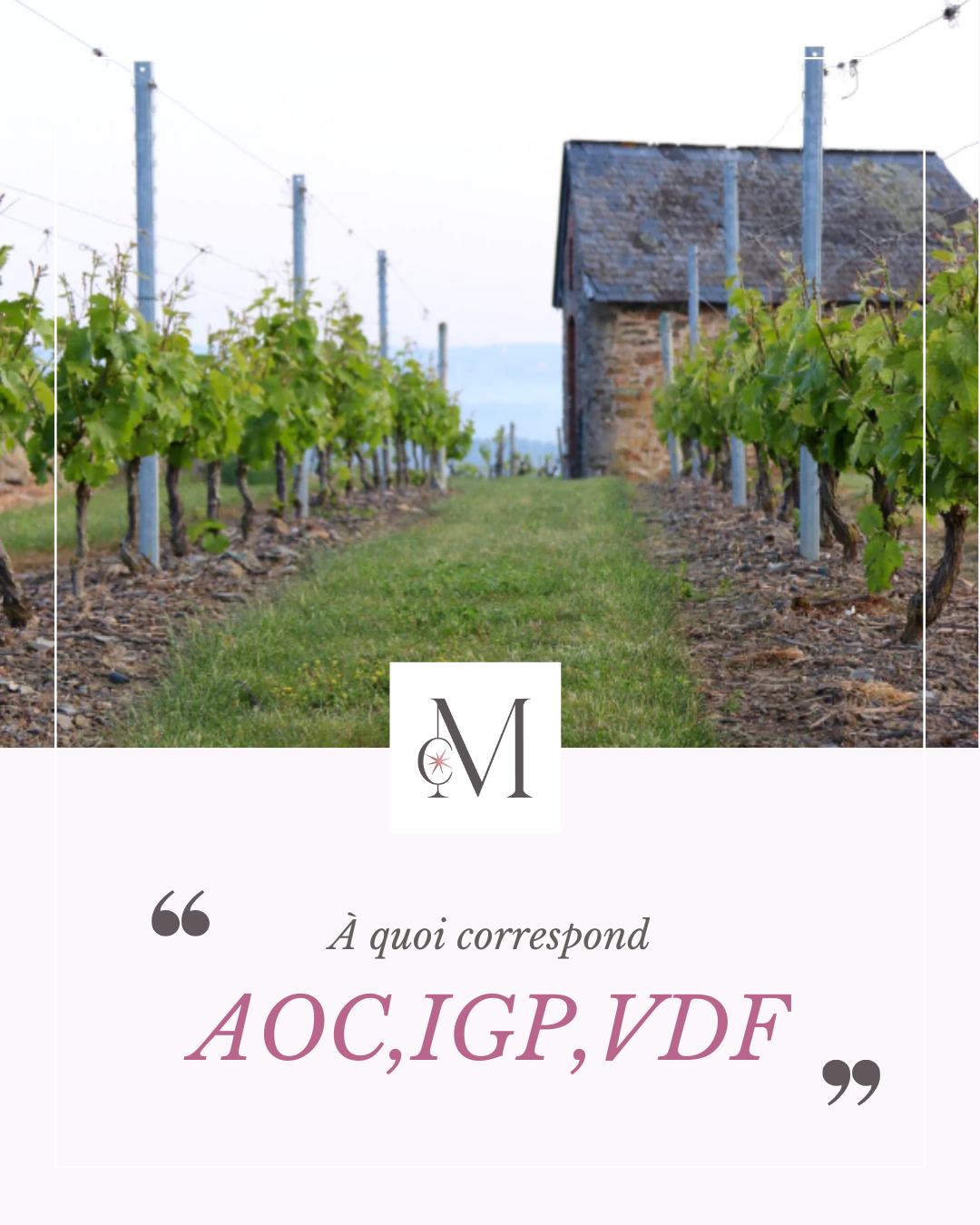 À quoi correspond AOC, IGP, VDF ?