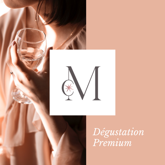 Une personne tenant un verre de vin dans une ambiance élégante, avec le logo du Moulin de Chauvigné au centre. Visuel promotionnel accompagné du texte “Dégustation Premium”. »