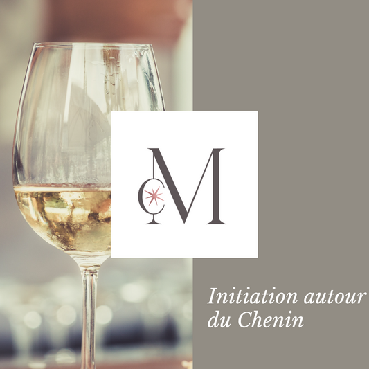 Verre de vin blanc à moitié rempli, mis en valeur par le logo du Moulin de Chauvigné, illustrant une initiation autour du cépage Chenin.