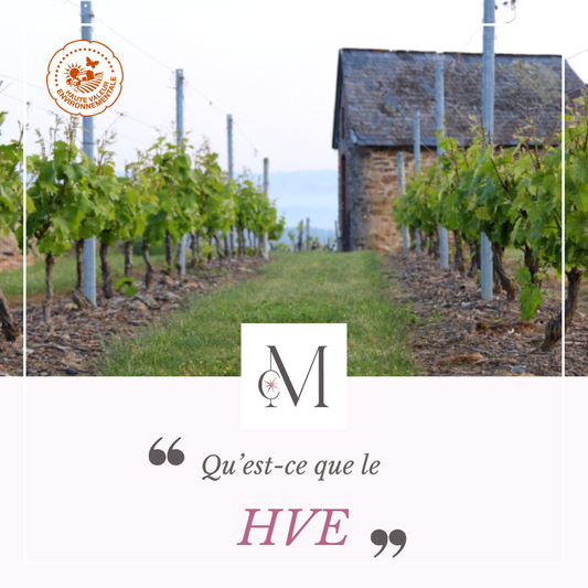 Qu'est-ce que le HVE ?