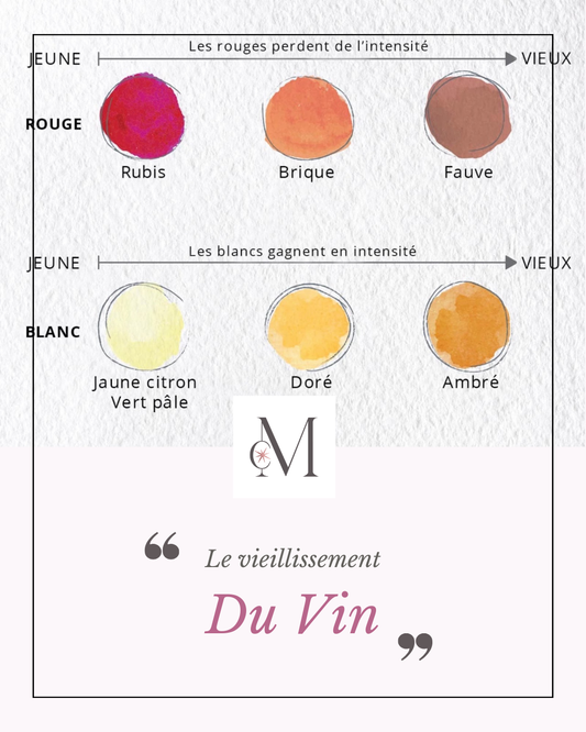 Le vieillissement du vin