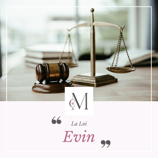 Balance de justice et maillet de juge posés sur un bureau, avec le logo du Moulin de Chauvigné et le texte “La loi Evin”.