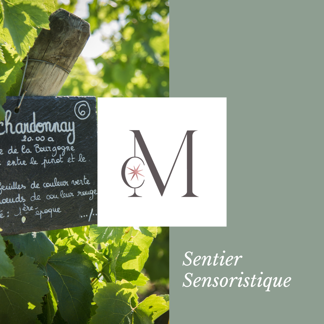 Sentier Sensoristique