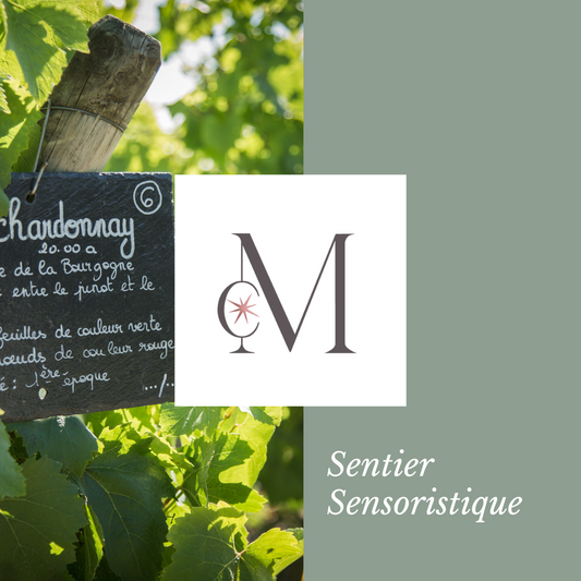 Panneau en ardoise indiquant le cépage Chardonnay accroché à un piquet de vigne, au cœur d’un sentier sensoristique dans le vignoble du Moulin de Chauvigné.